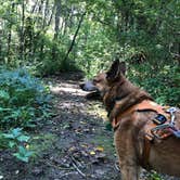 Review photo of Fox Den Campground - Chain O Lakes State Park by Art S., September 28, 2020