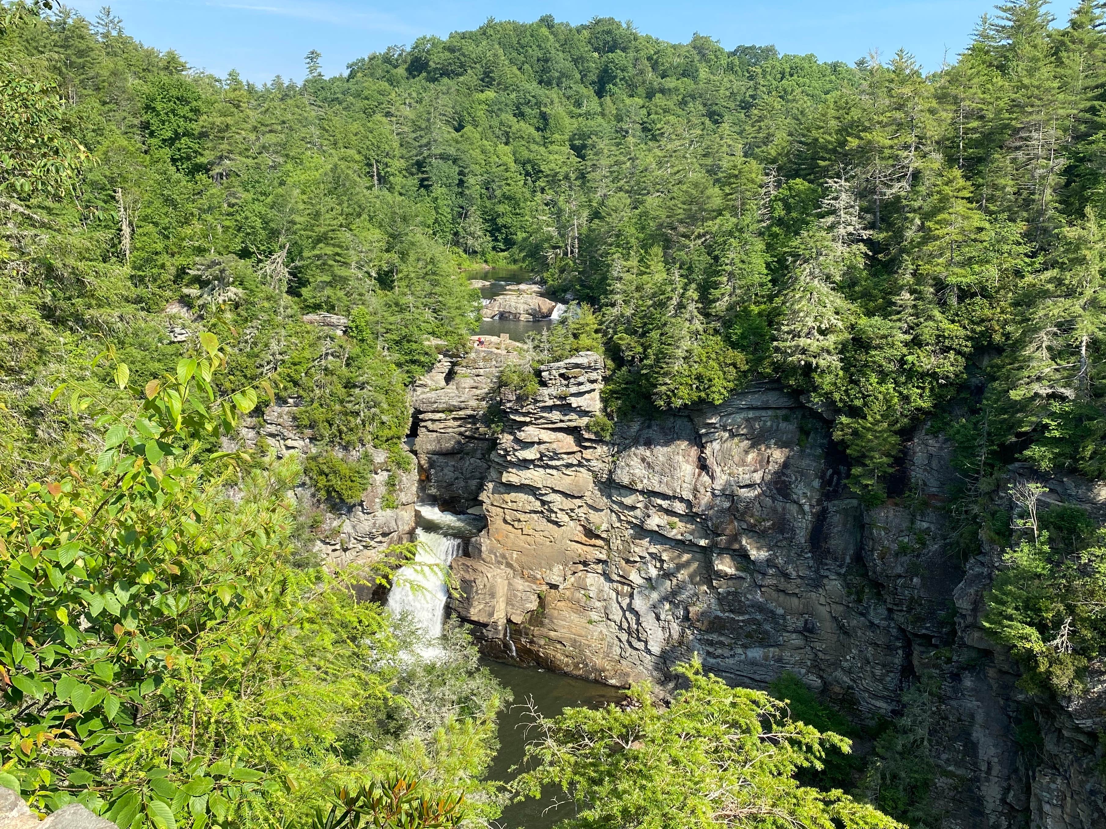 Camper submitted image from Linville Gorge Wilderness Dispersed Camping--Western Section, NC 128 he - 4
