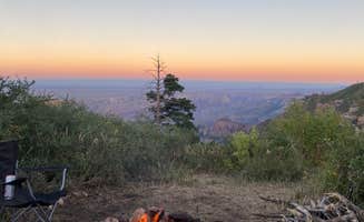Monte W.'s photo at Saddle Mountain (Kaibab NF) near North Rim, AZ