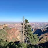 Review photo of Saddle Mountain (Kaibab NF) by Monte W., September 28, 2020