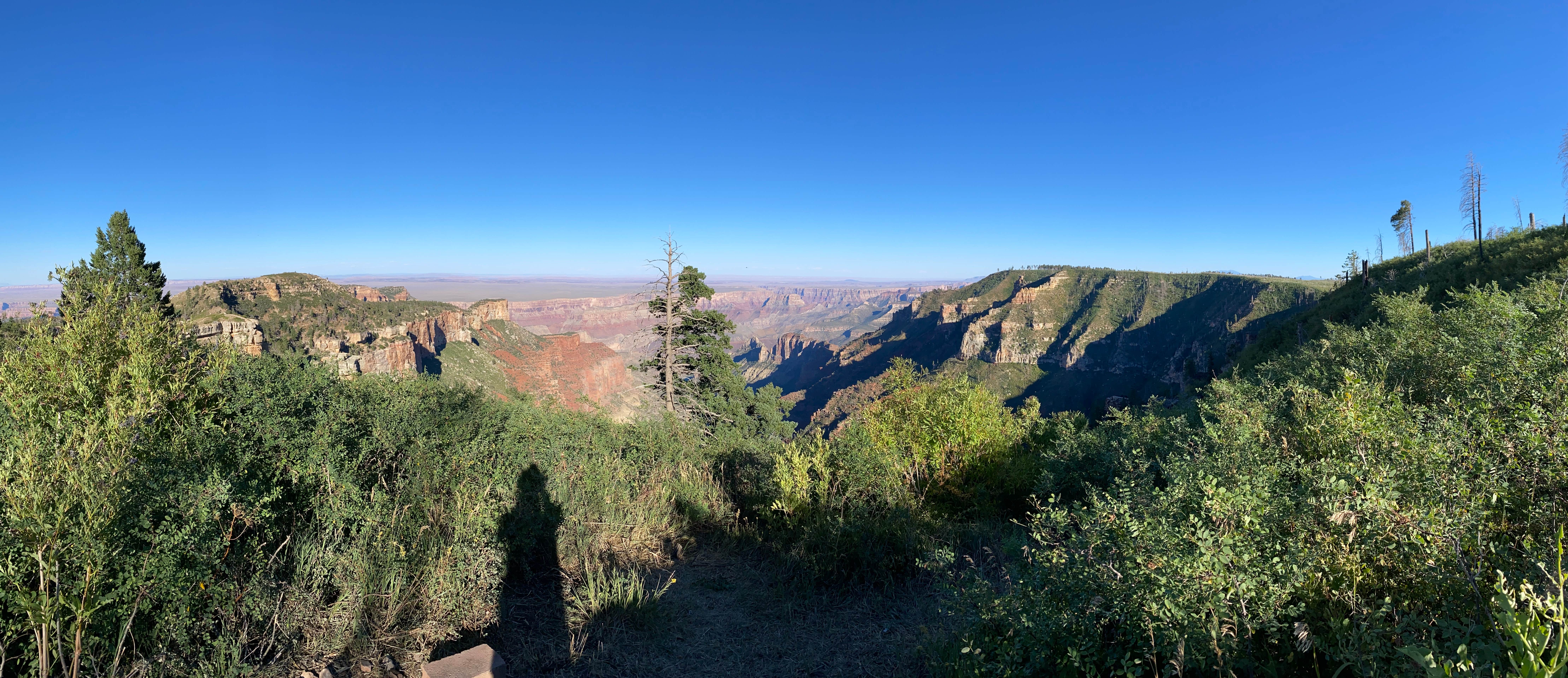 Camper-submitted photo at Saddle Mountain (Kaibab NF) near Grand Canyon National Park