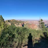 Review photo of Saddle Mountain (Kaibab NF) by Monte W., September 28, 2020