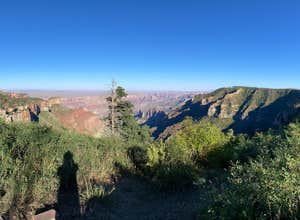 Saddle Mountain (Kaibab NF)
