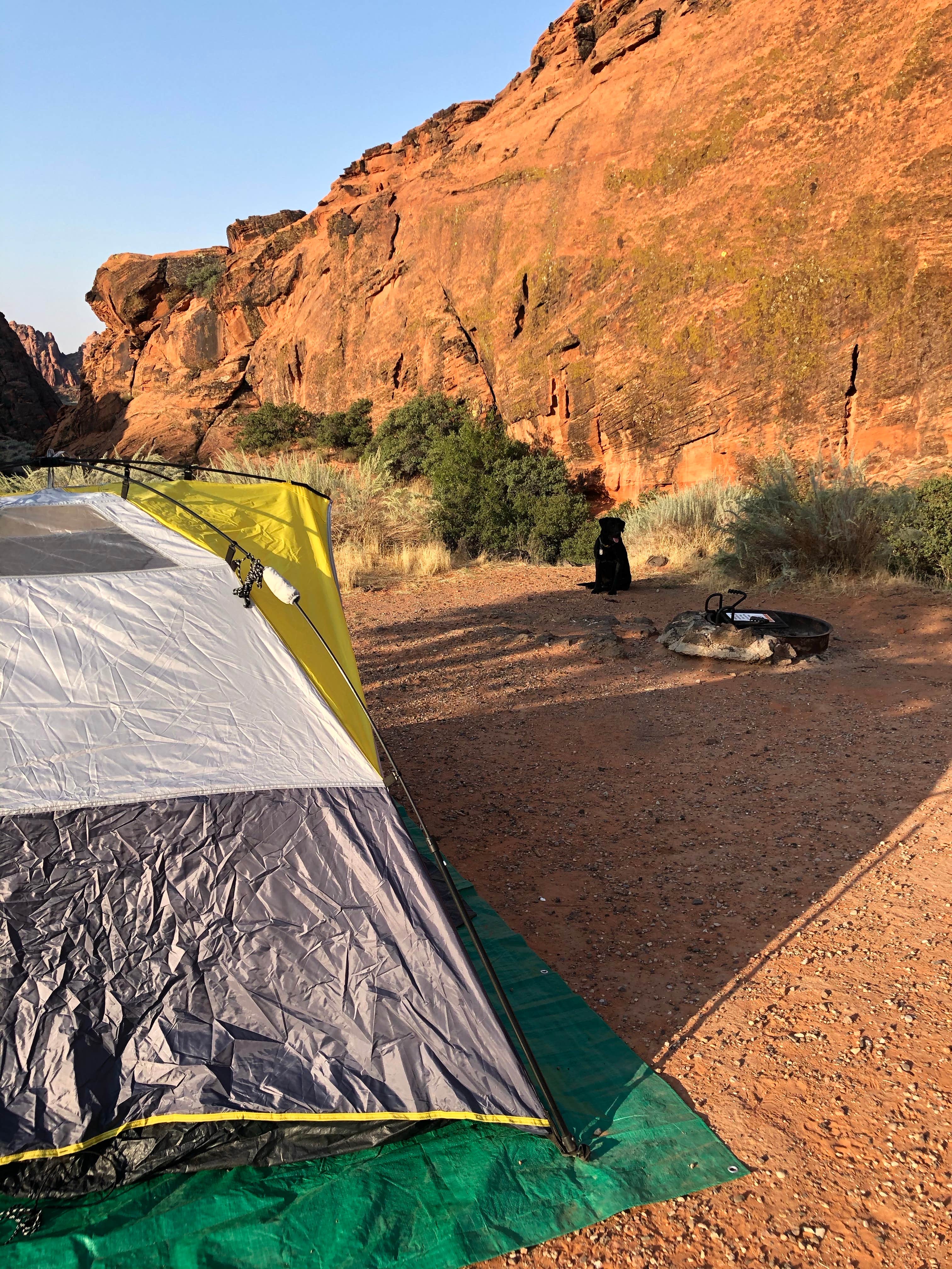 Lori R.'s photo at Snow Canyon State Park Campground near St. George, UT