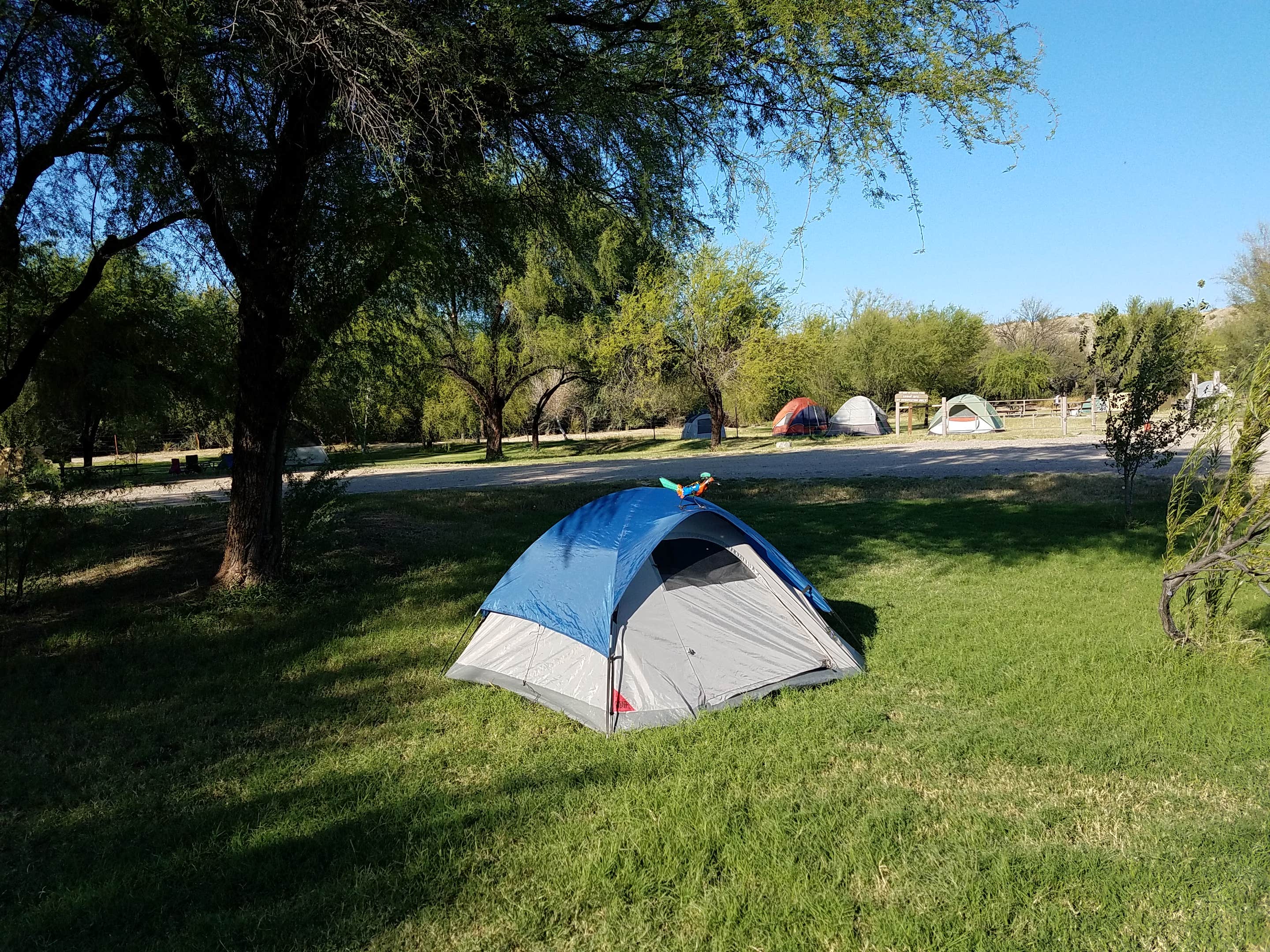 Camper submitted image from Cottonwood Campground — Big Bend National Park - 4