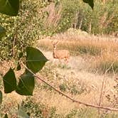 Review photo of Flagler Reservoir State Wildlife Area by David , September 28, 2020