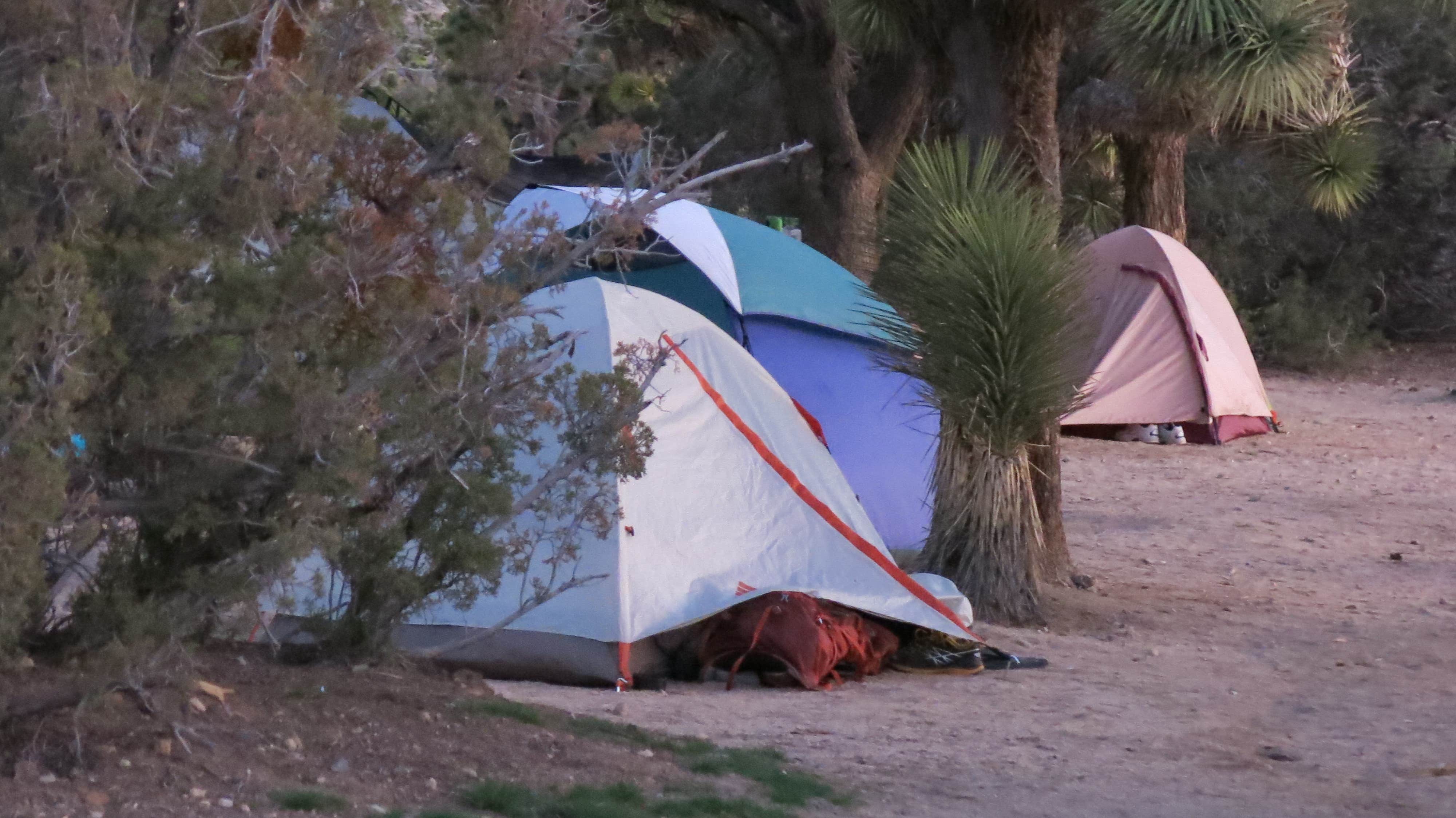 MarinMaverick's photo at Black Rock Campground — Joshua Tree National Park near Desert Hot Springs, CA