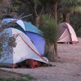 Review photo of Black Rock Campground — Joshua Tree National Park by MarinMaverick , September 29, 2020