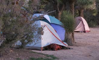 MarinMaverick's photo at Black Rock Campground — Joshua Tree National Park near Pioneertown, CA