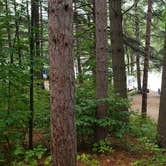 Review photo of Lincoln Pond Campground by Jean C., September 29, 2020