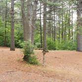 Review photo of Lincoln Pond Campground by Jean C., September 29, 2020