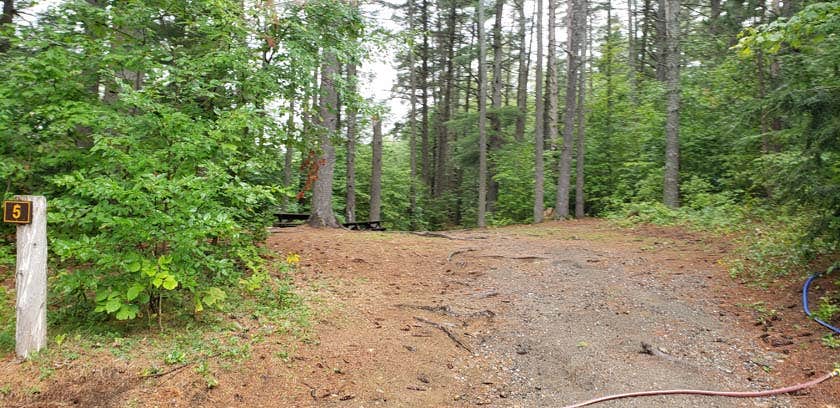 Camper-submitted photo at Lincoln Pond Campground near Westport, NY