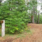 Review photo of Lincoln Pond Campground by Jean C., September 29, 2020