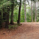 Review photo of Lincoln Pond Campground by Jean C., September 29, 2020