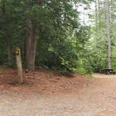 Review photo of Lincoln Pond Campground by Jean C., September 29, 2020