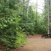 Review photo of Lincoln Pond Campground by Jean C., September 29, 2020