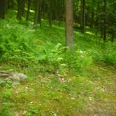 Review photo of Clear Creek State Park Campground by Caitlyn H., July 8, 2016