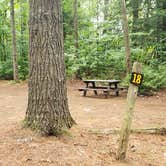 Review photo of Lincoln Pond Campground by Jean C., September 29, 2020