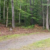 Review photo of Lincoln Pond Campground by Jean C., September 29, 2020