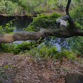 Review photo of Stephen Foster Folk Culture Center State Park Campground by Malaney H., May 18, 2018