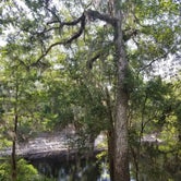 Review photo of Stephen Foster Folk Culture Center State Park Campground by Malaney H., May 18, 2018