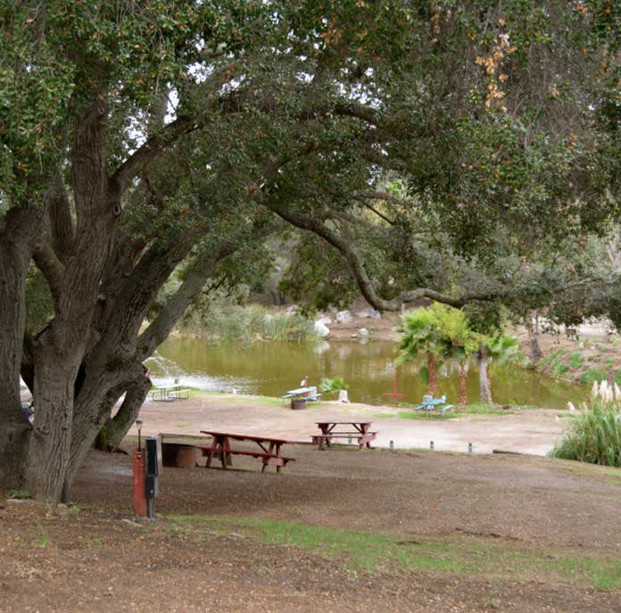 Camper-submitted photo at Lilac Oaks Campground near San Marcos, CA