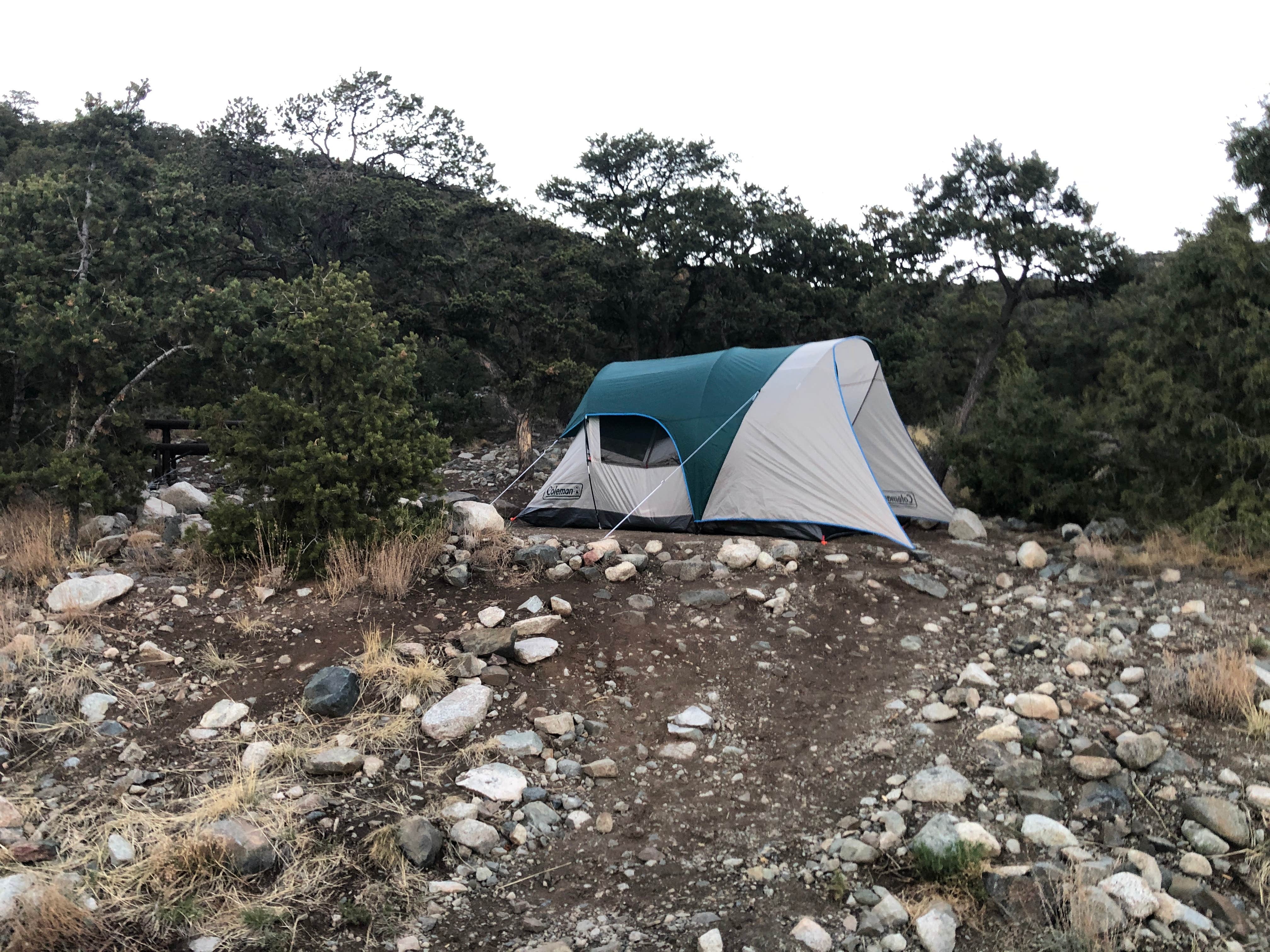 Alex A.'s photo at Zapata Falls Campground near Great Sand Dunes National Park & Preserve