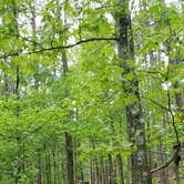 Review photo of Maumelle Park by Arkansas F., September 18, 2020