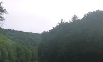 Camping near Pine Crest Cabins: Clear Creek State Park Campground, Clarington, Pennsylvania