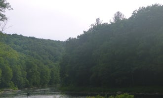 Camping near Loleta Recreation: Clear Creek State Park, Clarington, Pennsylvania