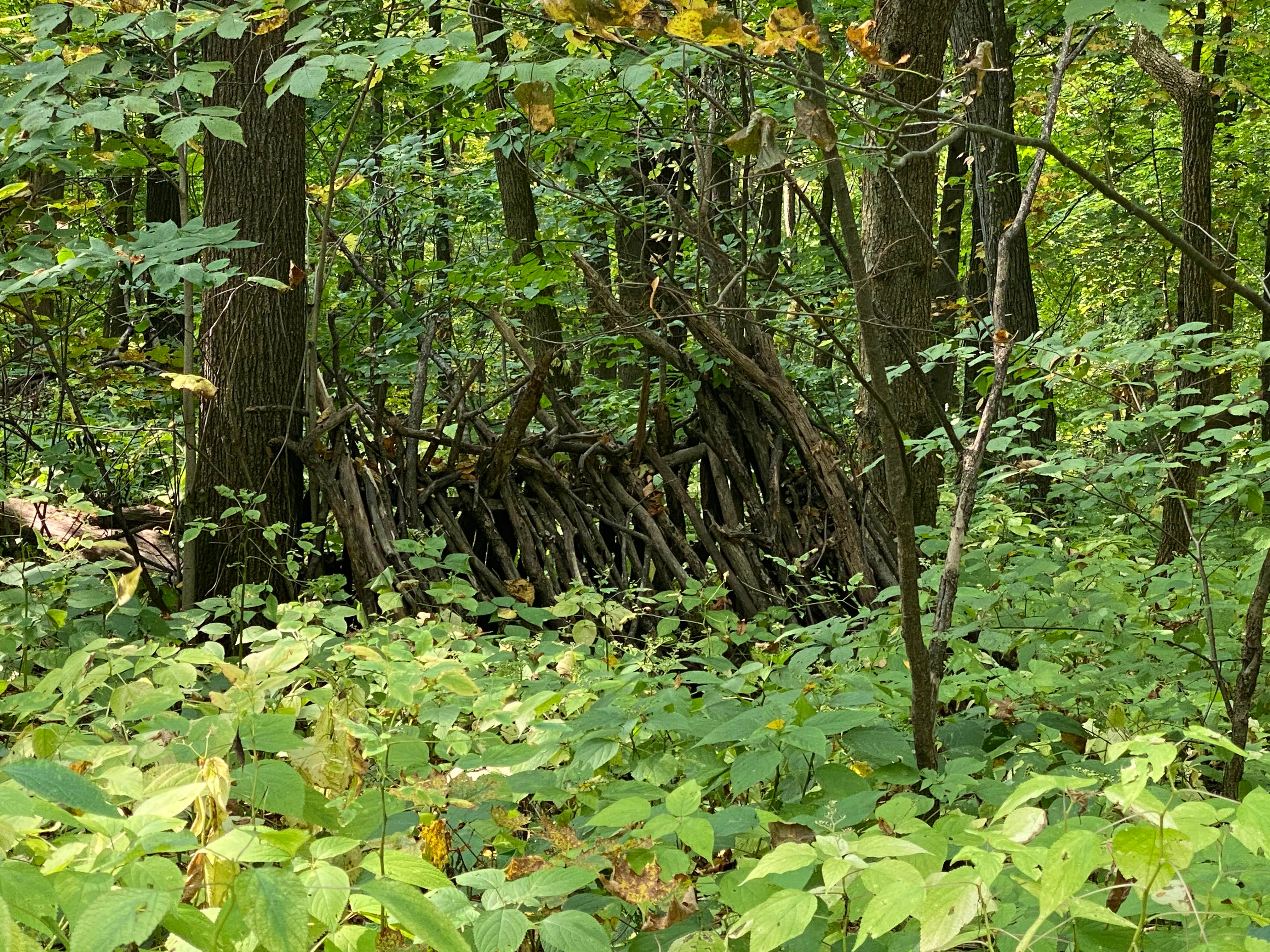 Wyalusing State Park Campground