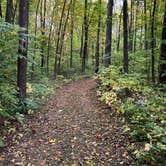 Review photo of Wyalusing State Park Campground by Erica H., September 29, 2020