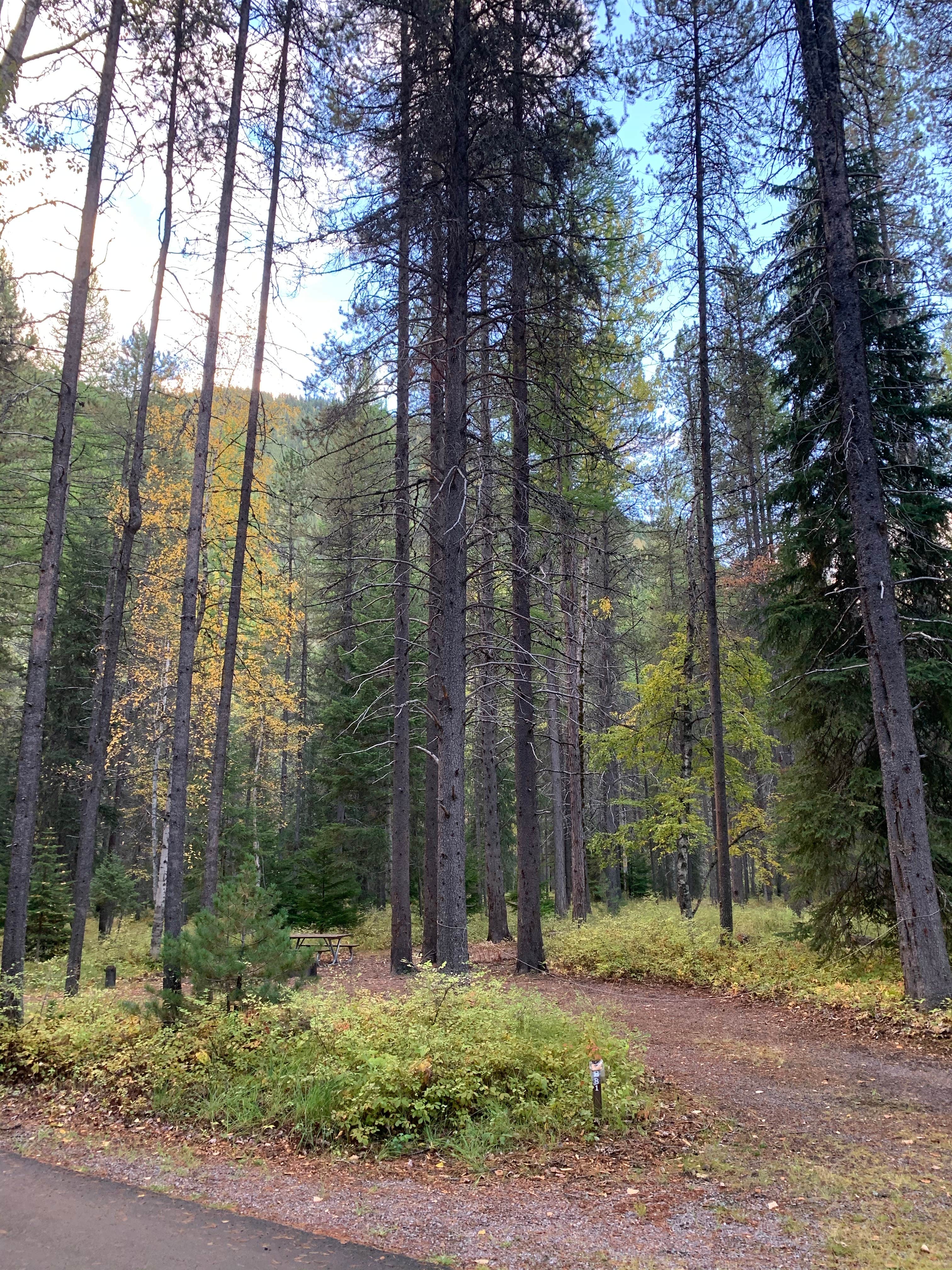 Camper-submitted photo at Apgar Campground — Glacier National Park in Montana
