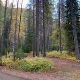 Review photo of Apgar Campground — Glacier National Park by Neil T., September 29, 2020