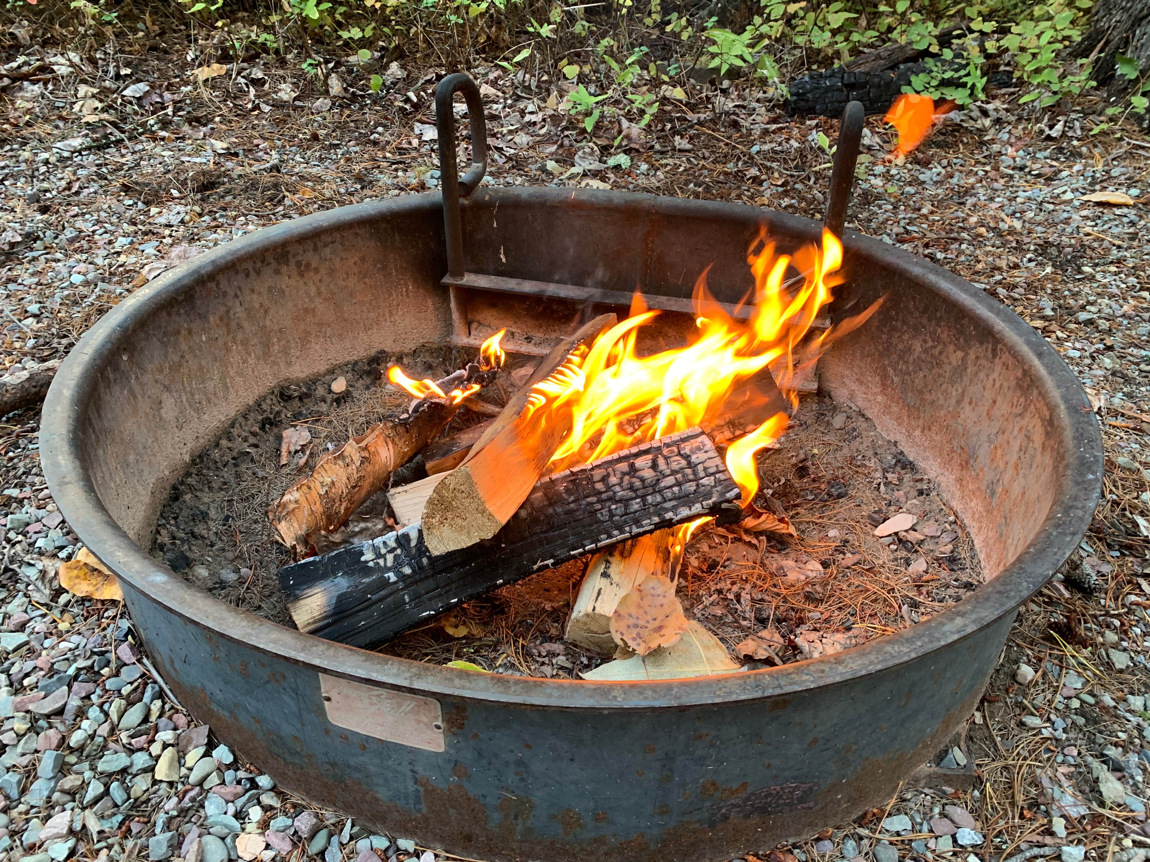 Camper-submitted photo at Apgar Campground — Glacier National Park in Montana