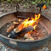 Review photo of Apgar Campground — Glacier National Park by Neil T., September 29, 2020