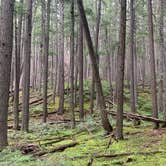 Review photo of Apgar Campground — Glacier National Park by Neil T., September 29, 2020