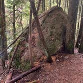 Review photo of Apgar Campground — Glacier National Park by Neil T., September 29, 2020