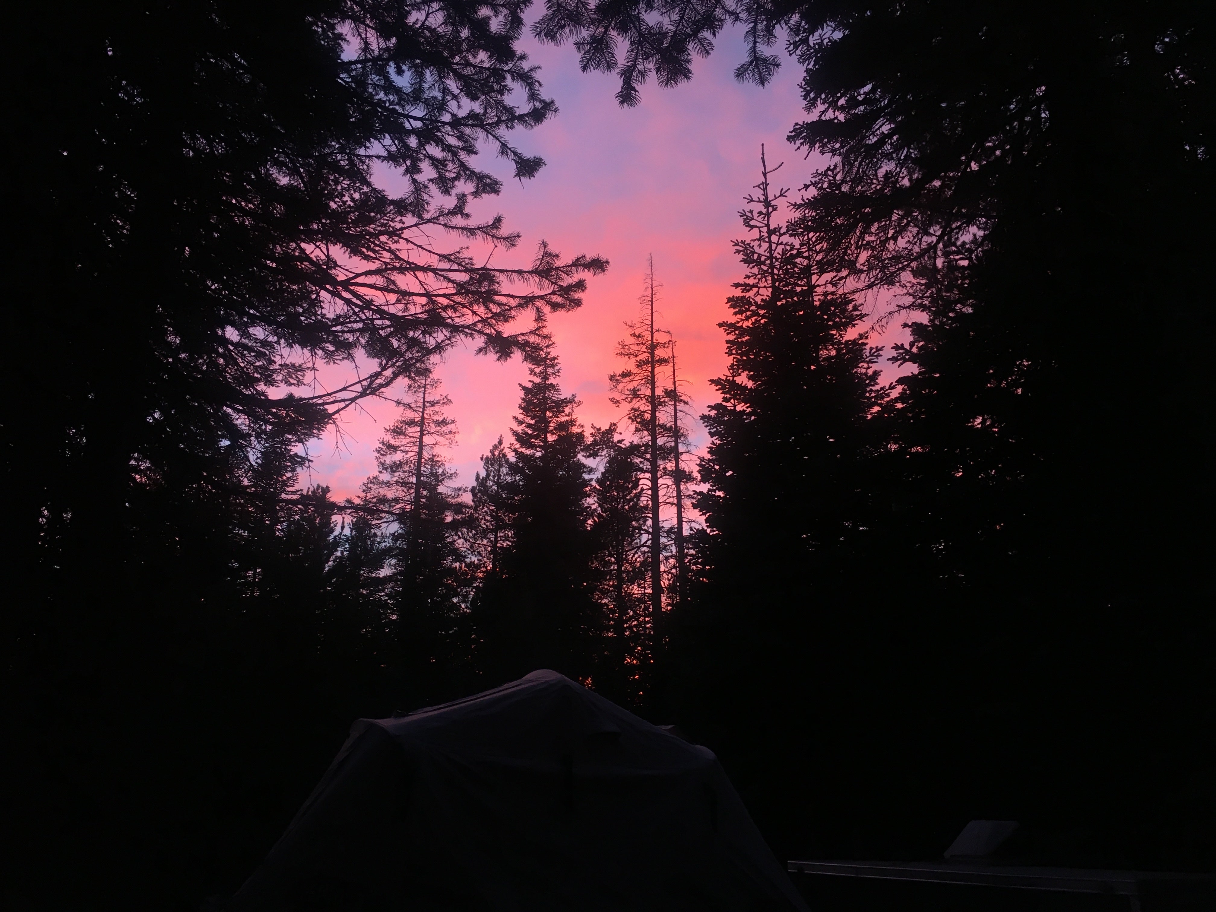 Camper submitted image from Pine Marten Campground - 4