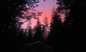 Cristina B.'s photo at Pine Marten Campground near Bear Valley, CA