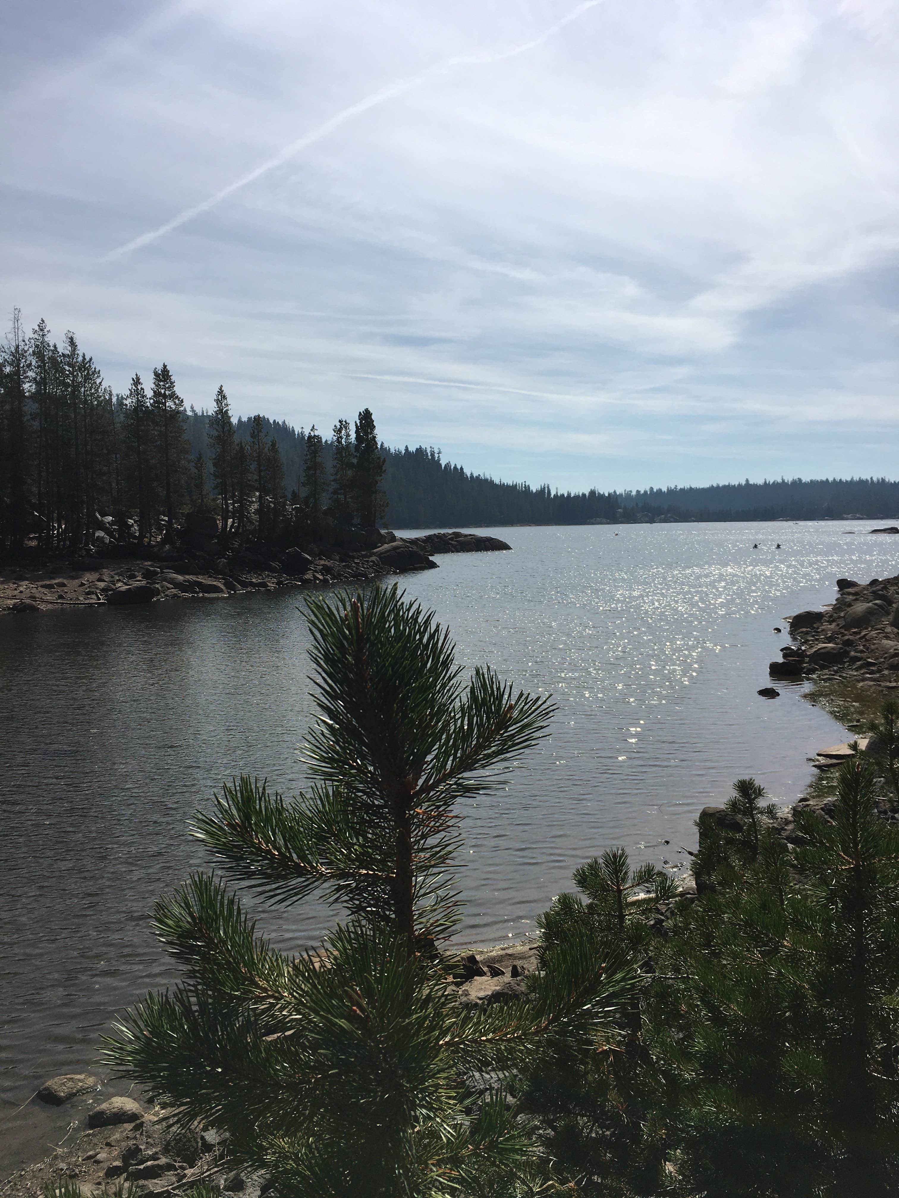 Camper-submitted photo at Pine Marten Campground near Bear Valley, CA