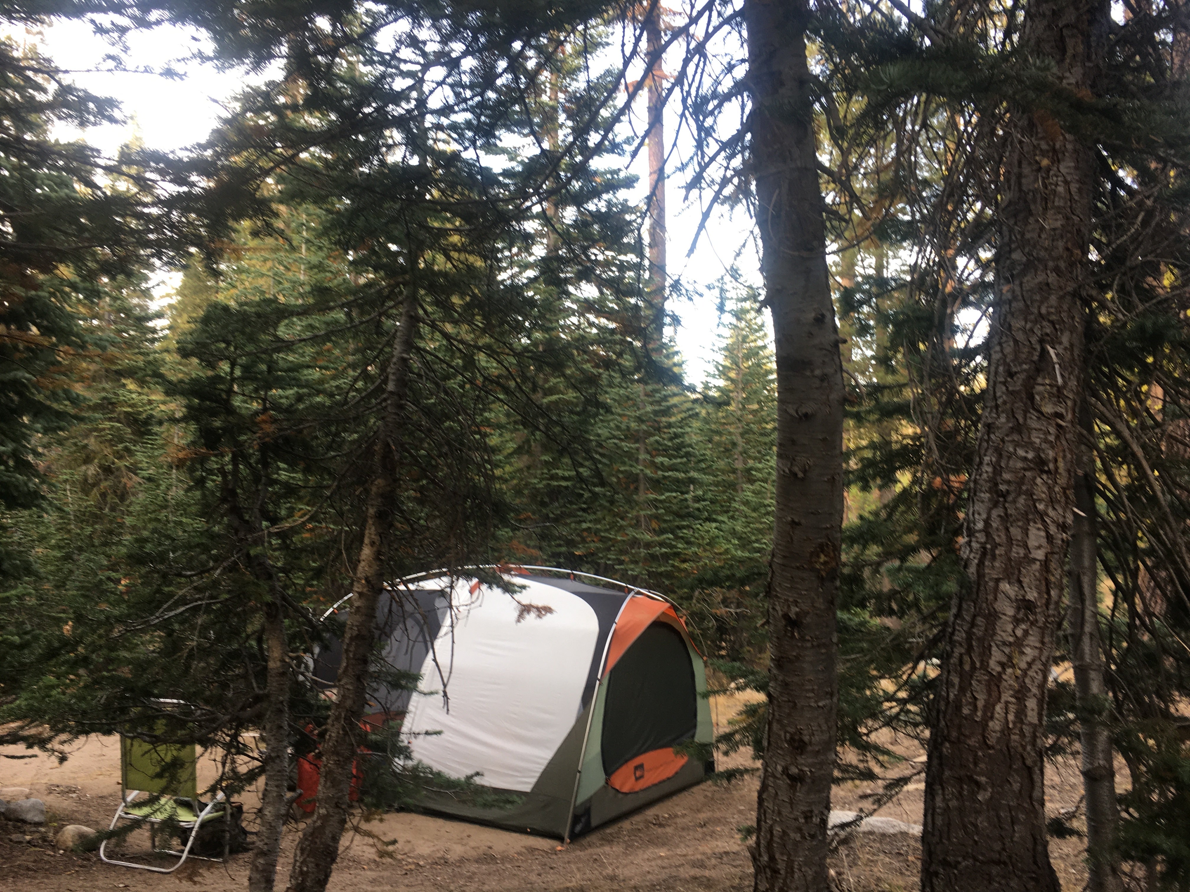 Camper submitted image from Pine Marten Campground - 5