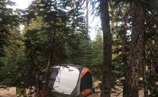 Cristina B.'s photo at Pine Marten Campground near Bear Valley, CA