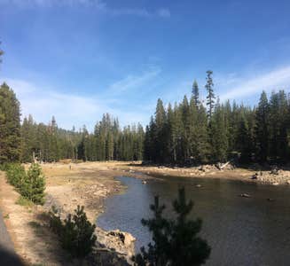 Camper-submitted photo from Pine Marten Campground