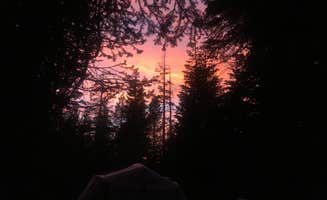 Cristina B.'s photo at Pine Marten Campground near Bear Valley, CA