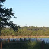 Review photo of Meaher State Park Campground by Karen L., May 17, 2018