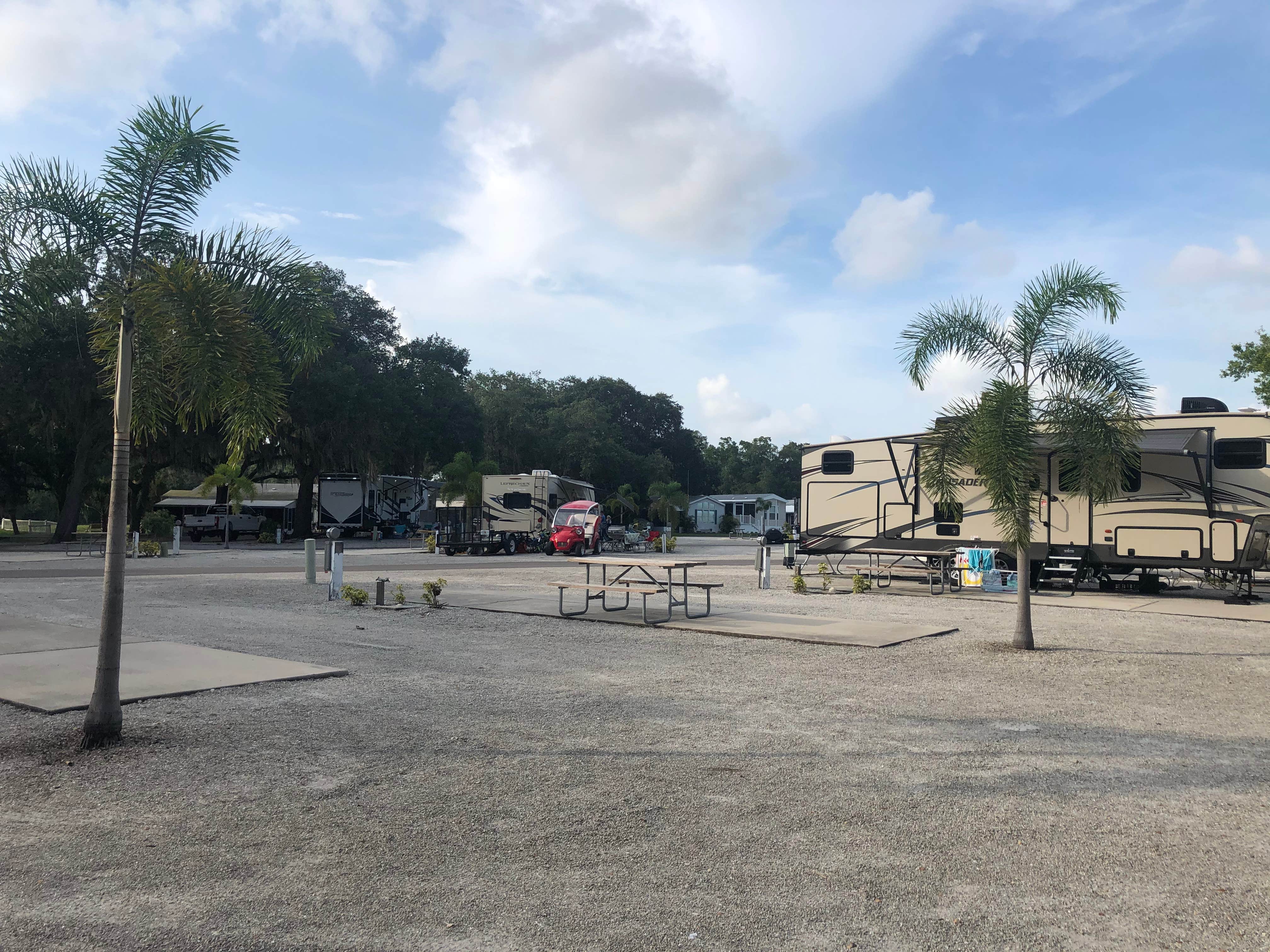 Camper submitted image from Sun N Fun RV Resort - 4