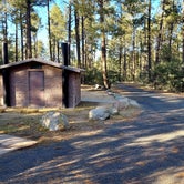 Review photo of White Spar Campground by Berton M., September 29, 2020