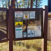 Review photo of White Spar Campground by Berton M., September 29, 2020