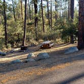 Review photo of White Spar Campground by Berton M., September 29, 2020